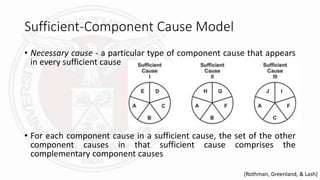 Causal Inference | PDF