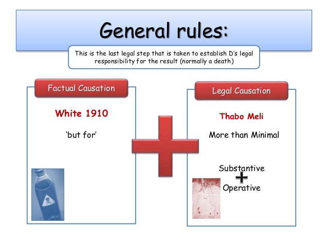 what is legal causation example