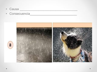 • Causa ________________________________
• Consecuencia__________________________
