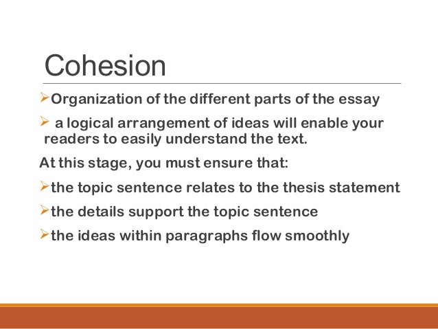 Conscience Essay Descriptive Essay Topics For High School Students also Religion And Science Essay Ideas For Cause And Effect Essay Tosyamagdaleneprojectorg Public Health Essay