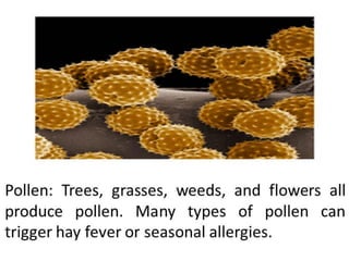 Trigger:pollen