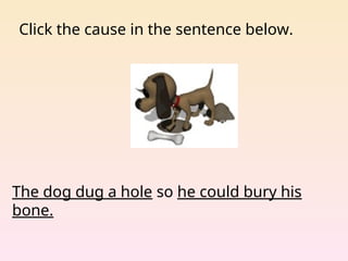 Click the cause in the sentence below.
The dog dug a hole so he could bury his
bone.
 