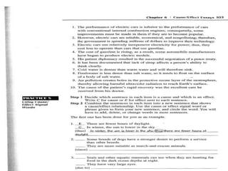 Cause and effect essay