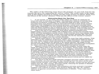 Cause and effect essay