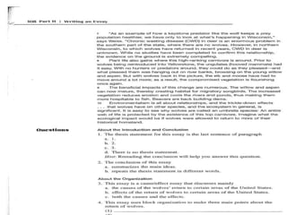 Cause and effect essay