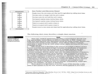 Cause and effect essay