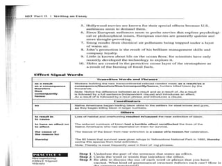 Cause and effect essay