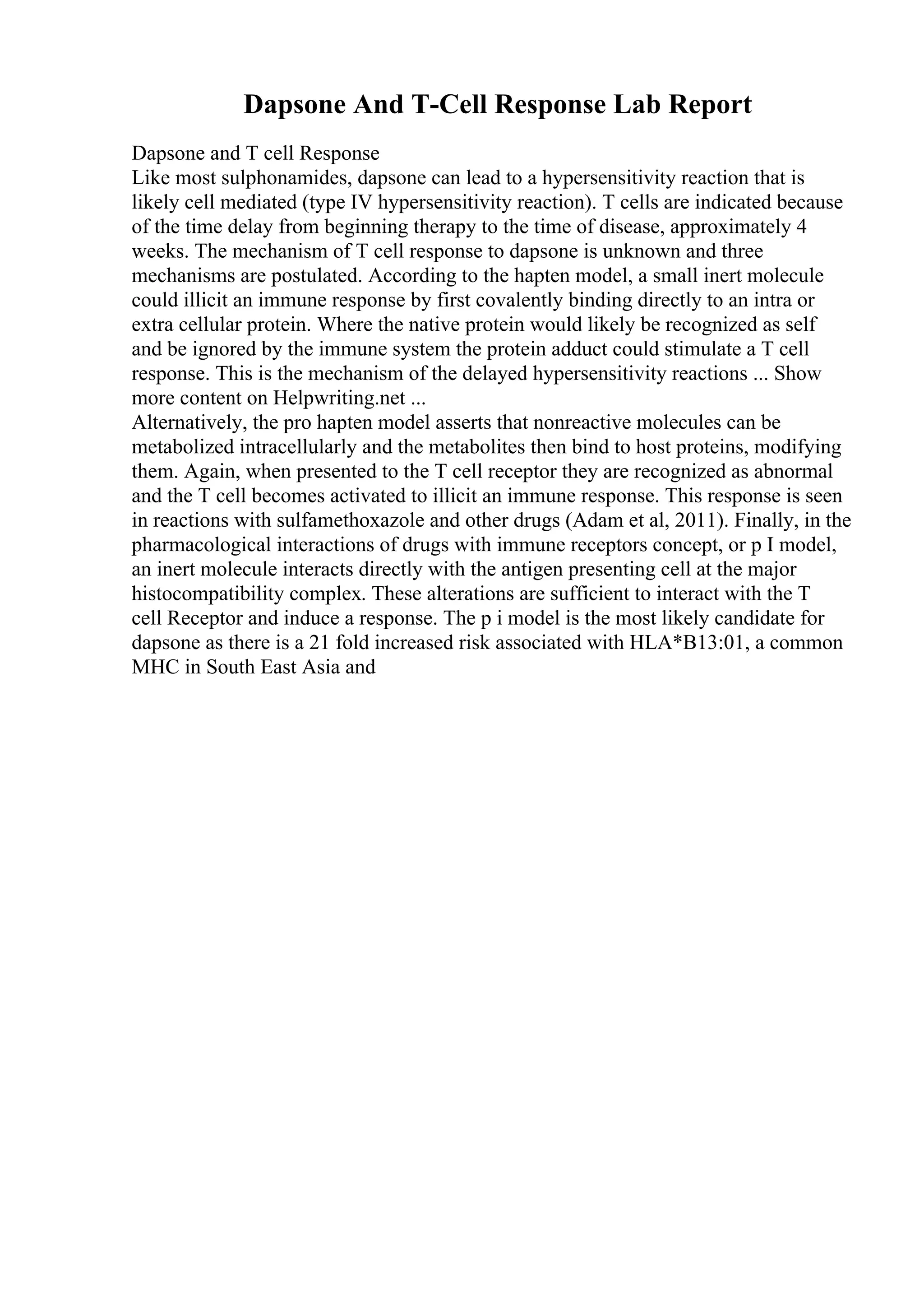 Dapsone And T-Cell Response Lab Report
Dapsone and T cell Response
Like most sulphonamides, dapsone can lead to a hypersensitivity reaction that is
likely cell mediated (type IV hypersensitivity reaction). T cells are indicated because
of the time delay from beginning therapy to the time of disease, approximately 4
weeks. The mechanism of T cell response to dapsone is unknown and three
mechanisms are postulated. According to the hapten model, a small inert molecule
could illicit an immune response by first covalently binding directly to an intra or
extra cellular protein. Where the native protein would likely be recognized as self
and be ignored by the immune system the protein adduct could stimulate a T cell
response. This is the mechanism of the delayed hypersensitivity reactions ... Show
more content on Helpwriting.net ...
Alternatively, the pro hapten model asserts that nonreactive molecules can be
metabolized intracellularly and the metabolites then bind to host proteins, modifying
them. Again, when presented to the T cell receptor they are recognized as abnormal
and the T cell becomes activated to illicit an immune response. This response is seen
in reactions with sulfamethoxazole and other drugs (Adam et al, 2011). Finally, in the
pharmacological interactions of drugs with immune receptors concept, or p I model,
an inert molecule interacts directly with the antigen presenting cell at the major
histocompatibility complex. These alterations are sufficient to interact with the T
cell Receptor and induce a response. The p i model is the most likely candidate for
dapsone as there is a 21 fold increased risk associated with HLA*B13:01, a common
MHC in South East Asia and
 