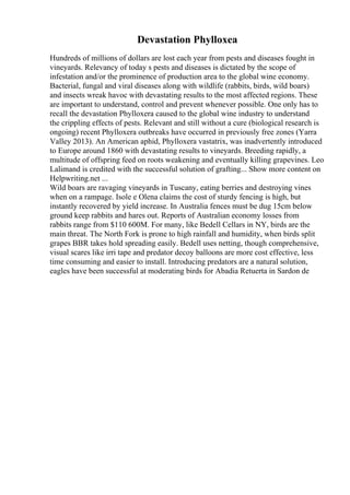 Devastation Phylloxea
Hundreds of millions of dollars are lost each year from pests and diseases fought in
vineyards. Relevancy of today s pests and diseases is dictated by the scope of
infestation and/or the prominence of production area to the global wine economy.
Bacterial, fungal and viral diseases along with wildlife (rabbits, birds, wild boars)
and insects wreak havoc with devastating results to the most affected regions. These
are important to understand, control and prevent whenever possible. One only has to
recall the devastation Phylloxera caused to the global wine industry to understand
the crippling effects of pests. Relevant and still without a cure (biological research is
ongoing) recent Phylloxera outbreaks have occurred in previously free zones (Yarra
Valley 2013). An American aphid, Phylloxera vastatrix, was inadvertently introduced
to Europe around 1860 with devastating results to vineyards. Breeding rapidly, a
multitude of offspring feed on roots weakening and eventually killing grapevines. Leo
Lalimand is credited with the successful solution of grafting... Show more content on
Helpwriting.net ...
Wild boars are ravaging vineyards in Tuscany, eating berries and destroying vines
when on a rampage. Isole e Olena claims the cost of sturdy fencing is high, but
instantly recovered by yield increase. In Australia fences must be dug 15cm below
ground keep rabbits and hares out. Reports of Australian economy losses from
rabbits range from $110 600M. For many, like Bedell Cellars in NY, birds are the
main threat. The North Fork is prone to high rainfall and humidity, when birds split
grapes BBR takes hold spreading easily. Bedell uses netting, though comprehensive,
visual scares like irri tape and predator decoy balloons are more cost effective, less
time consuming and easier to install. Introducing predators are a natural solution,
eagles have been successful at moderating birds for Abadia Retuerta in Sardon de
 
