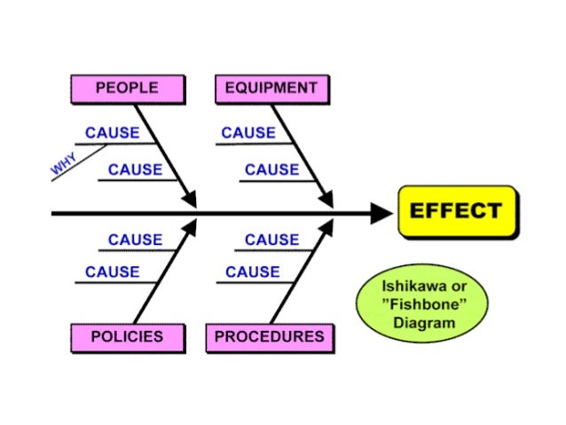 Essay development - cause and effect