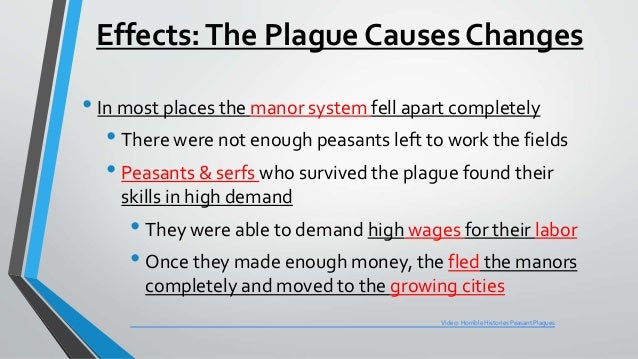 The Cause And Effects Of The Black