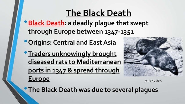 Black plague essay