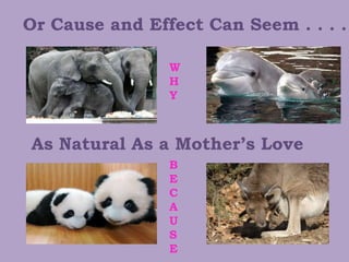 Or Cause and Effect Can Seem . . . .
As Natural As a Mother’s Love
B
E
C
A
U
S
E
W
H
Y
 