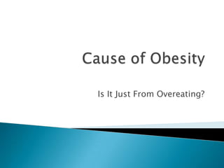 Cause of Obesity Is It Just From Overeating? 