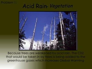 Acid Rain - Vegetation Because trees are weakened by acid rain. The C02 that would be taken in by trees is being added to the greenhouse gases which increases Global Warming Problem 1: 