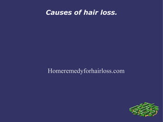 Causes of hair loss.




Homeremedyforhairloss.com
 