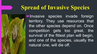 Spread of Invasive Species
Invasive species invade foreign
territory. They use resources that
the other species depend on. Once
competition gets too great, the
survival of the fittest plan will begin,
and one of the species, usually the
natural one, will die off.
 