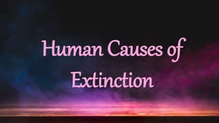 Human Causes of
Extinction
 