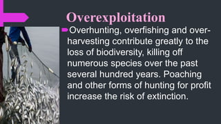 Overexploitation
Overhunting, overfishing and over-
harvesting contribute greatly to the
loss of biodiversity, killing off
numerous species over the past
several hundred years. Poaching
and other forms of hunting for profit
increase the risk of extinction.
 