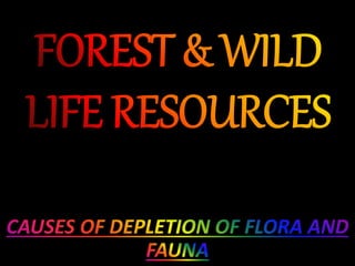 Forest And Wildlife Resources | PPTX