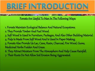 Forest And Wildlife Resources | PPTX