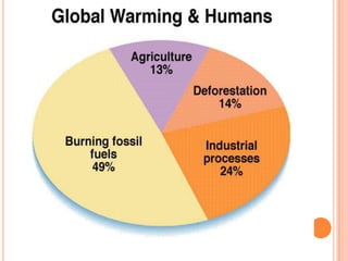 Causes and effects of climate change | PPTX