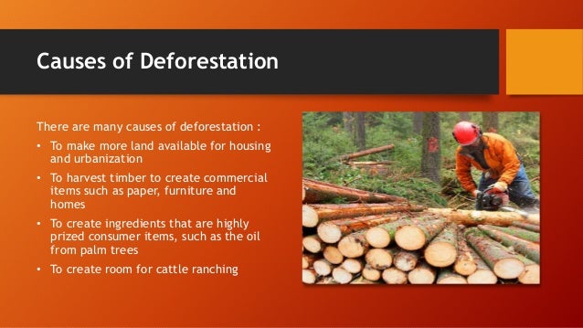 Causes and effects of deforestation