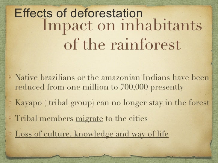 Deforestation and biodiversity presentation essay