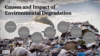 Causes and impact of environmental degradation