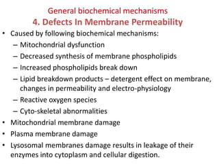 Membrane Deficiency Causes and Mechanism of Cell Iinjury.pdf