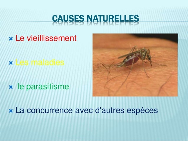 Causes De La Disparition Des Espèces Animales Et Vegetales