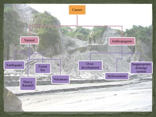 Causes
Natural
Earthquake
Heavy
Rainfall
Forest
fire
Volcanoes
Anthropogenic
Over-
development
Deforestation
Inappropriate
drainage
system
 