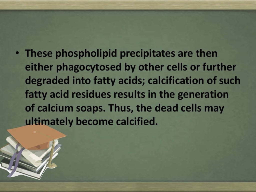 Causes of cell injury