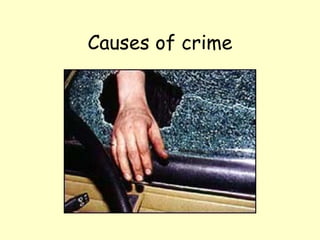 Causes of crime 