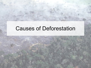 Causes of Deforestation 