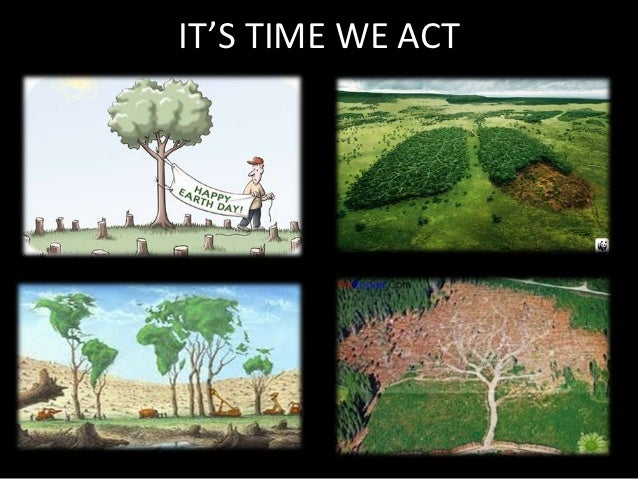 causes of deforestation essay about deforestation