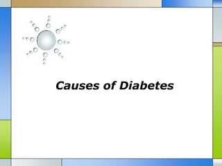 Causes of Diabetes
 