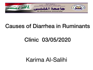Causes of Diarrhea in Ruminants
Clinic 03/05/2020
Karima Al-Salihi
 