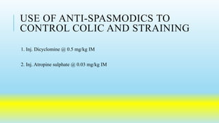 Causes of diarrhoea in cattle and treatment | PPTX