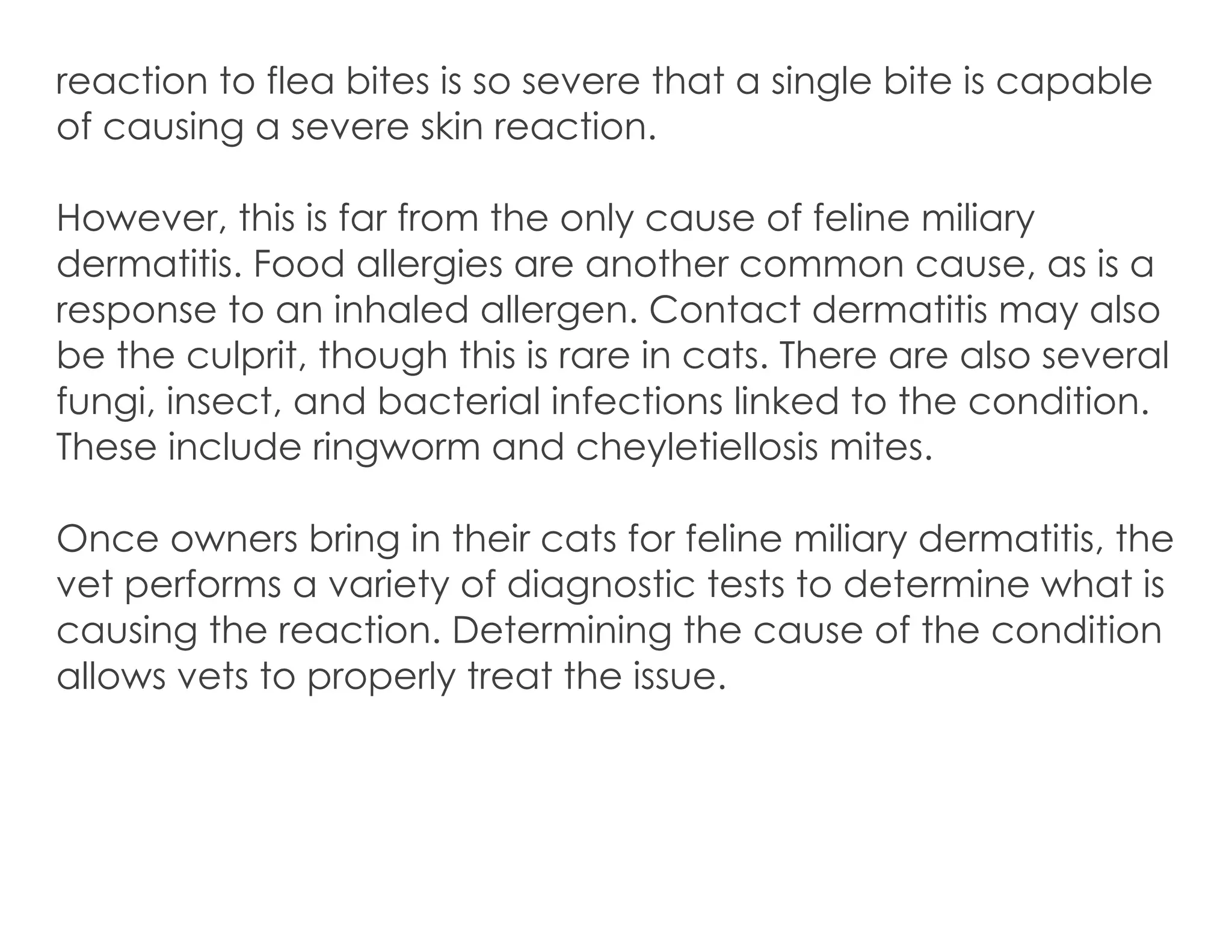 Picture of Causes of Feline Miliary Dermatitis | PDF