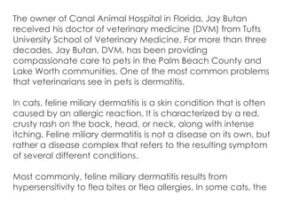 Causes of Feline Miliary Dermatitis | PPT