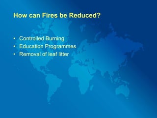 Causes Of Global Hazards