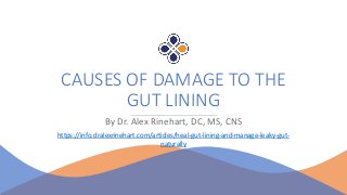 CAUSES OF DAMAGE TO THE
GUT LINING
By Dr. Alex Rinehart, DC, MS, CNS
https://info.dralexrinehart.com/articles/heal-gut-lining-and-manage-leaky-gut-
naturally
 