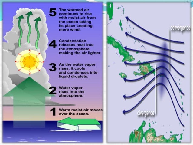 Causes And Effects Of Hurricanes