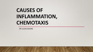 CAUSES OF
INFLAMMATION,
CHEMOTAXIS
DR LILIAN BOSIRE
 
