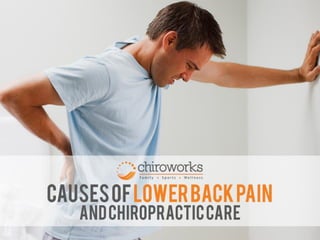 Causes Of Lower Back Pain And Chiropractic Care