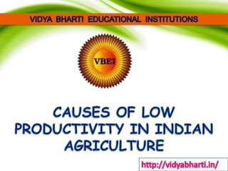 Causes of low productivity in indian agriculture
