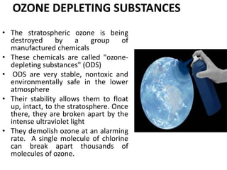 Ozone Depletion Causes Effects And Control Measures