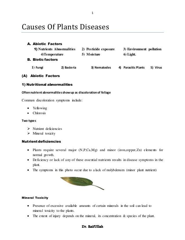 Causes of plants disease