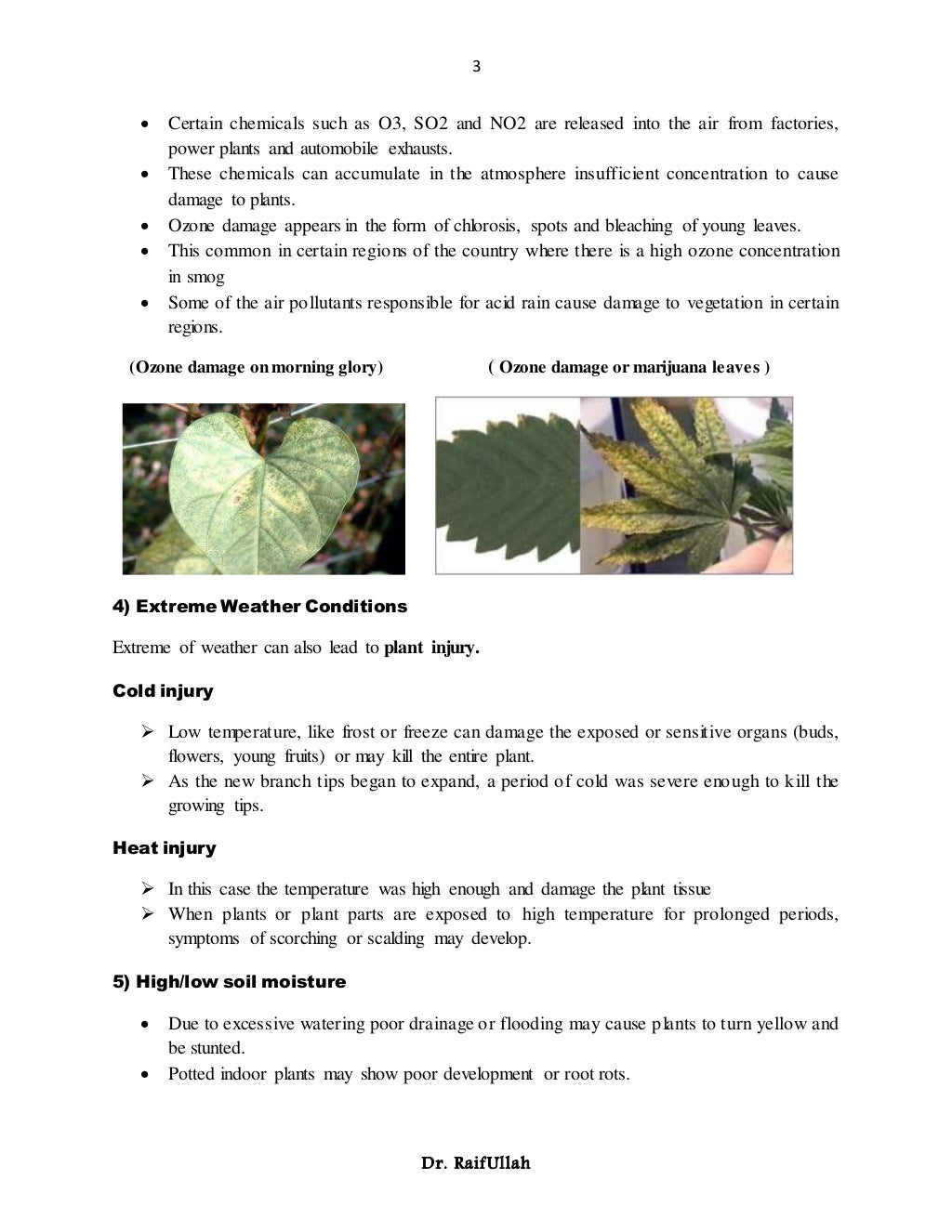 Causes of plants disease